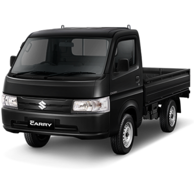 Carry Pick Up